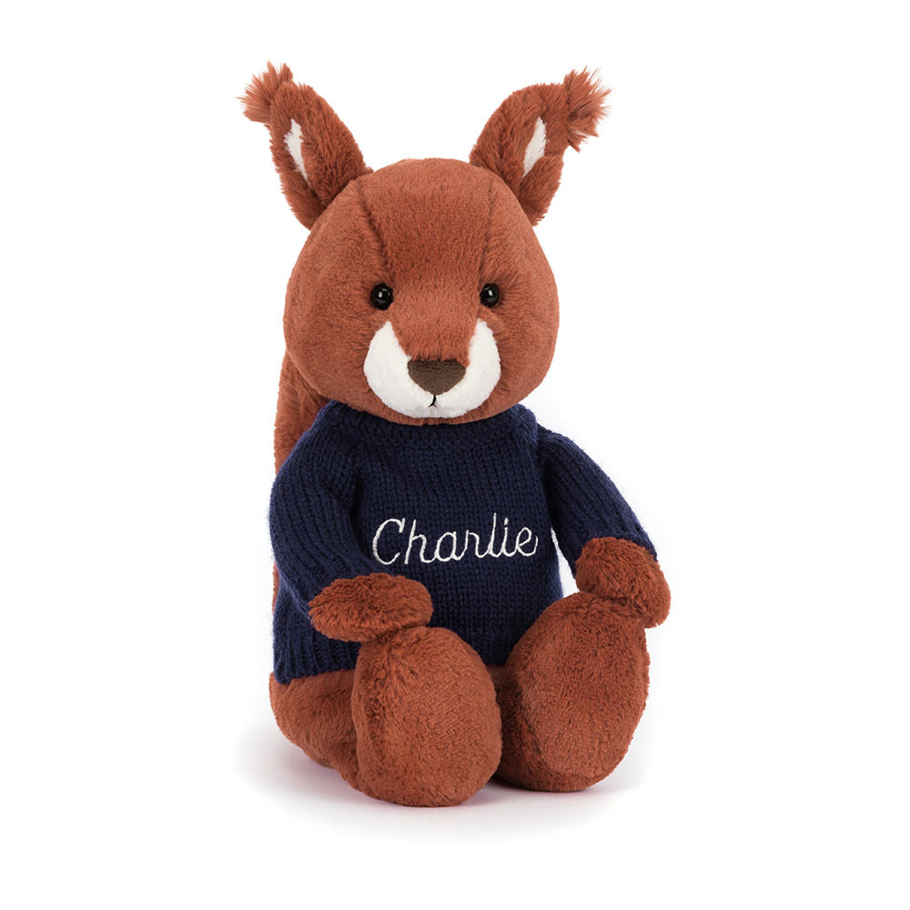 Bashful Squirrel with Personalized Navy Jumper